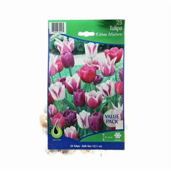 Tulipán Blue Ribbon mix 25ks