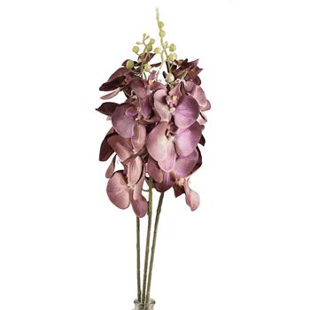 Phalaenopsis BOW řezaný umělý vínová