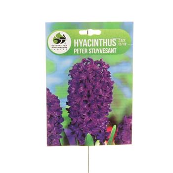 Hyacint Peter Stuyvesant 2ks