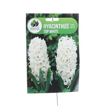 Hyacint Top White 3ks